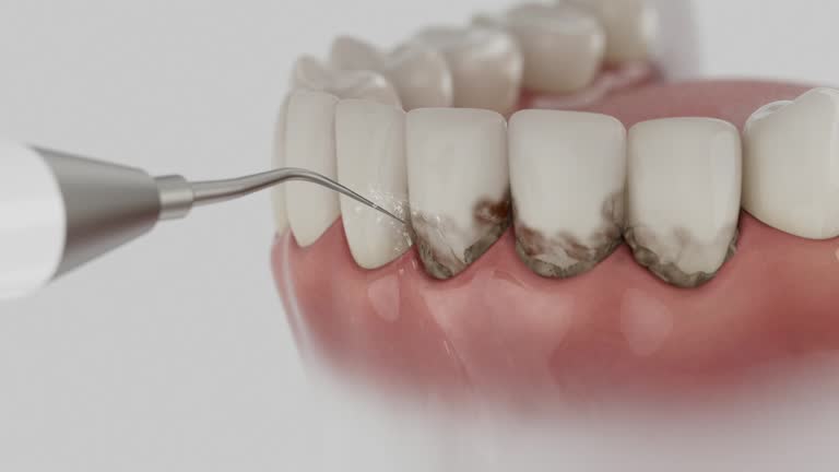 Reliable Dental contractor in Kendall County County, IL by Dentist Open Now